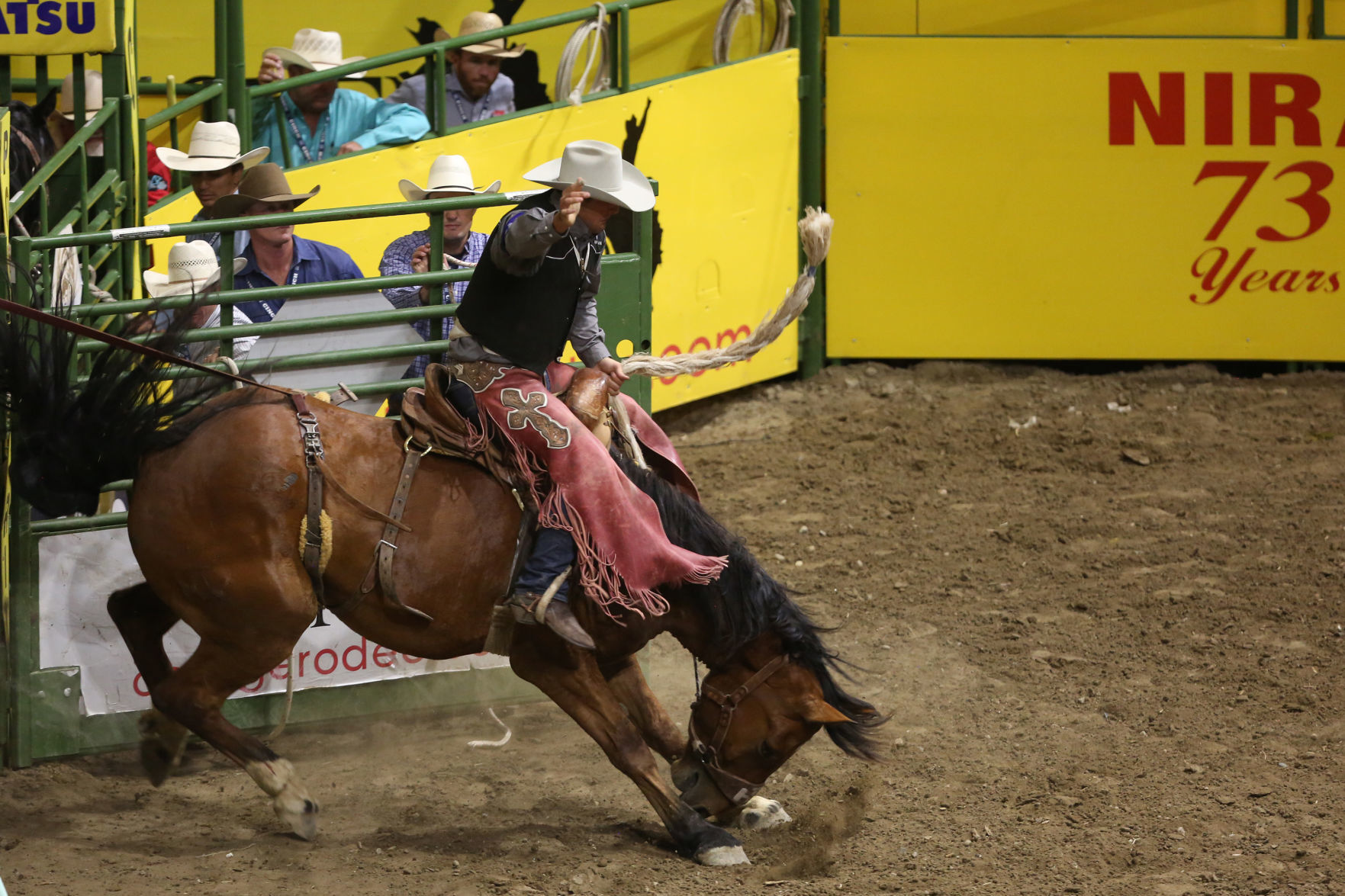 CNFR